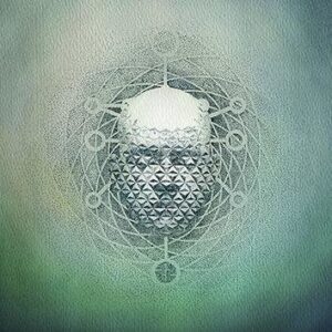 22 You Are Creating: Limb1 LP