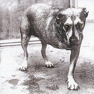 Alice In Chains Alice In Chains CD