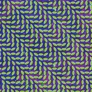 Animal Collective - Merriweather Post Pavillion