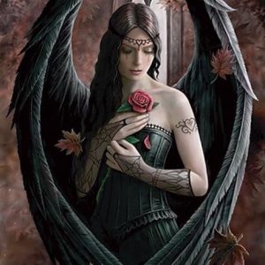 Anne Stokes Angel Rose Juliste