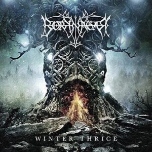 Borknagar Winter Thrice CD