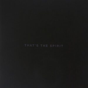 Bring Me The Horizon - That's The Spirit
