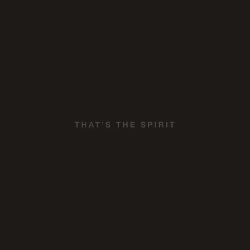 Bring Me The Horizon - That's The Spirit