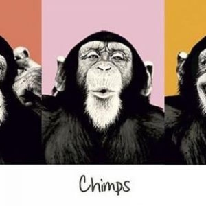 Chimps Popart Ovijuliste