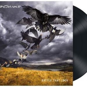 David Gilmour Rattle That Lock LP