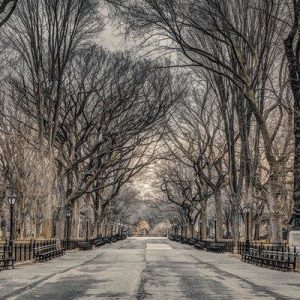 Frank Assaf New York Central Park Juliste