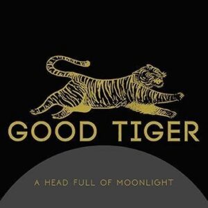Good Tiger A Headful Of Moonlight CD