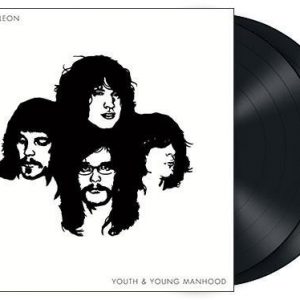 Kings Of Leon Youth & Young Manhood LP