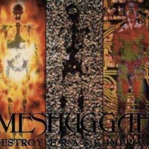 Meshuggah Destroy Erase Improve CD