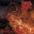 Morbid Angel - Blessed Are The Sick