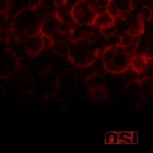 O.S.I. Blood CD