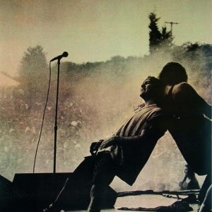 Pearl Jam Eddie Vedder & Mike Mccready On Stage Juliste Monivärinen