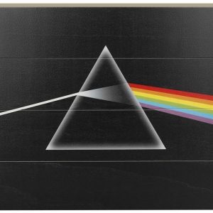 Pink Floyd Dark Side Of The Moon Puinen Seinäkoriste Vaneria