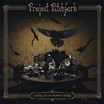 Project Pitchfork Look Up I'm Down There CD