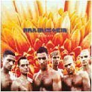 Rammstein - Herzeleid