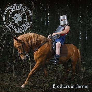 Steve 'N' Seagulls Brother In Farms CD