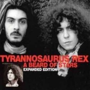 T.Rex - Beard Of Stars