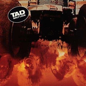 Tad Salt Lick CD