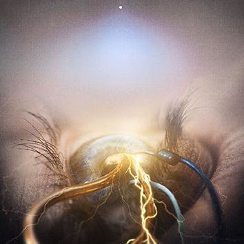 The Agonist Eye Of Providence CD