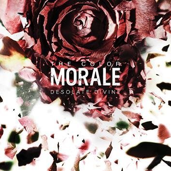 The Color Morale Desolate Divine CD