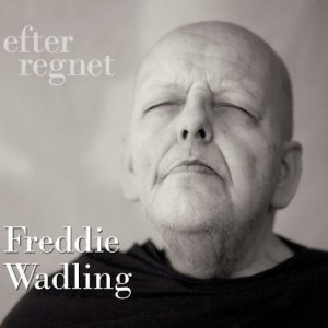 Wadling Freddie - Efter regnet